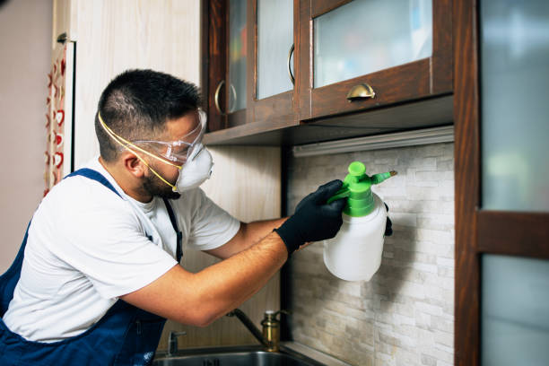 Reliable Angustura, NM Pest Control Solutions