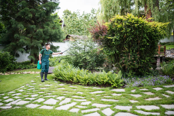 Best Local Pest Control Services  in Angustura, NM