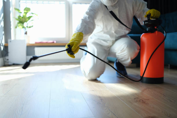 Best Residential Pest Control  in Angustura, NM