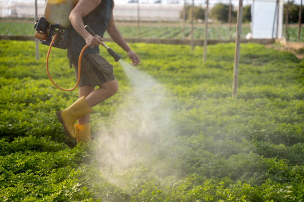 Best Best Pest Control Companies  in Angustura, NM
