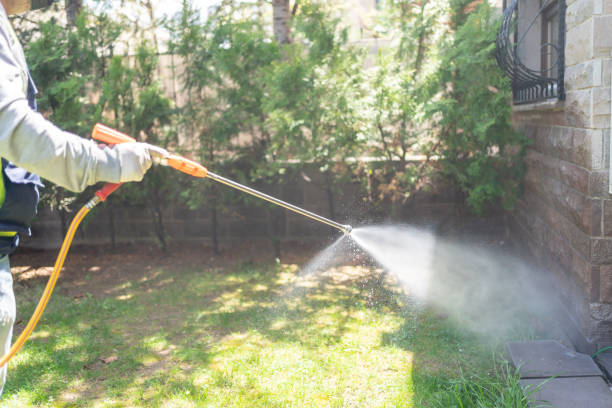 Insect Control in Angustura, NM