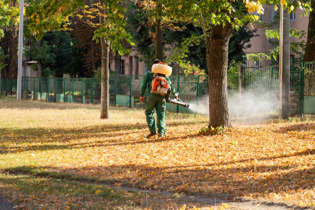 Best Termite Control Services  in Angustura, NM